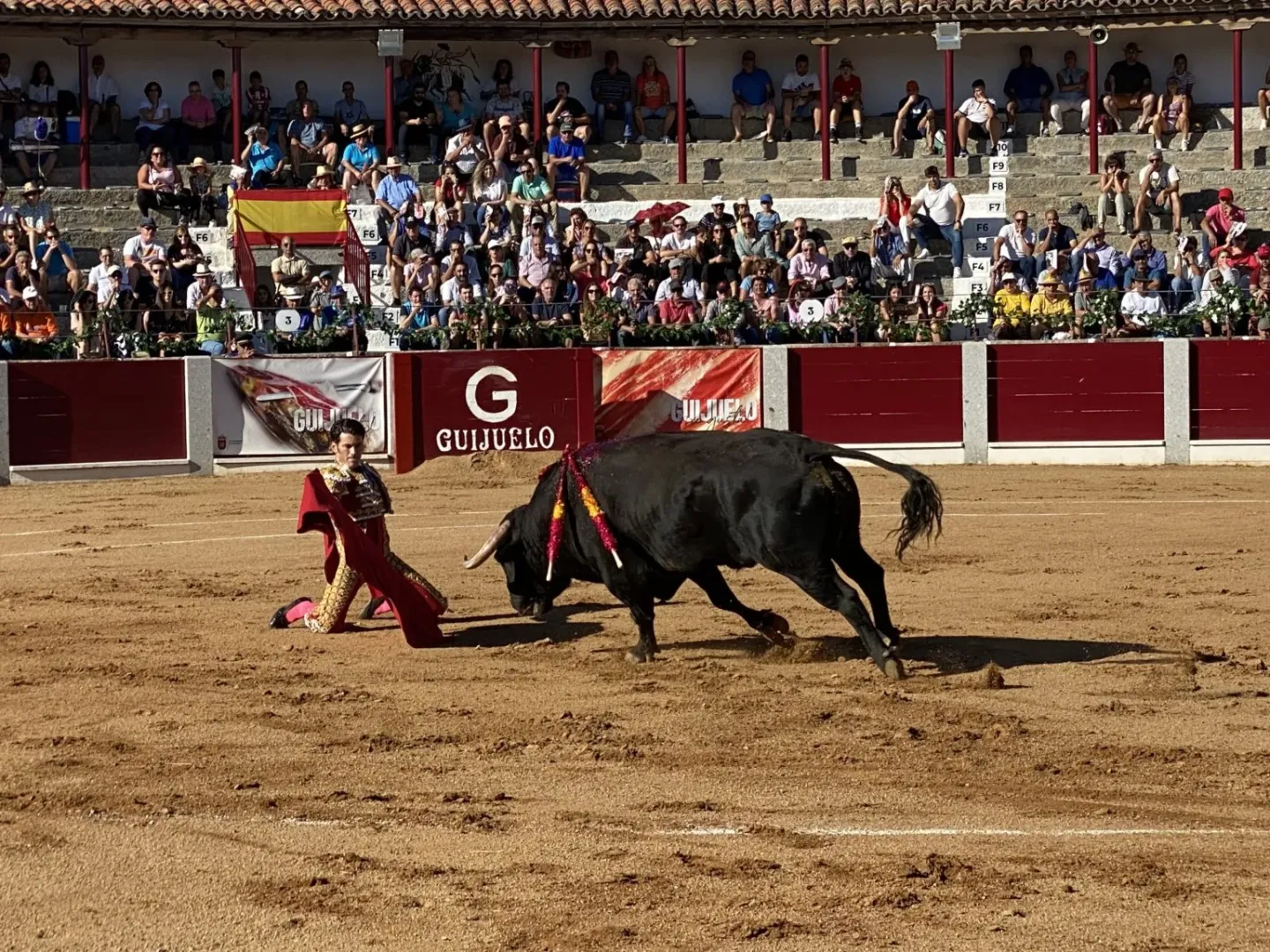 CFB2E627-AE7B-4CAE-87A7-60C4AE5D50A9-1536x1152-1
